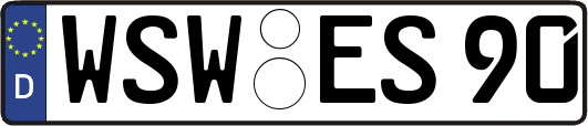 WSW-ES90