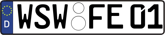 WSW-FE01