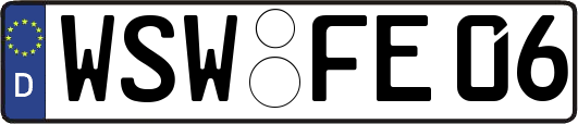WSW-FE06