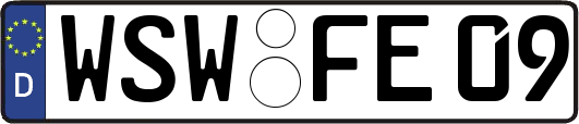 WSW-FE09