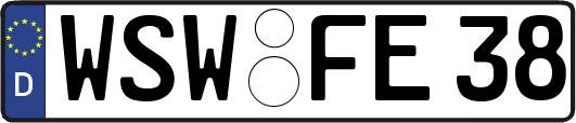 WSW-FE38