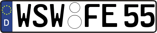 WSW-FE55
