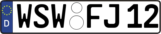 WSW-FJ12