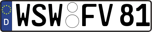 WSW-FV81