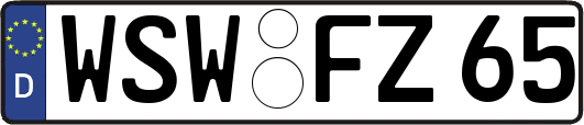 WSW-FZ65