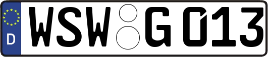 WSW-G013