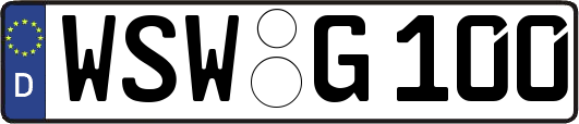 WSW-G100