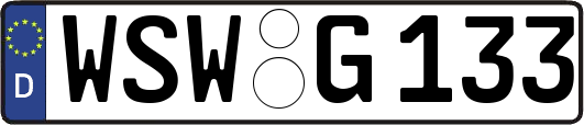 WSW-G133