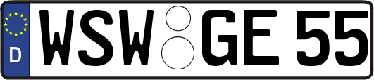 WSW-GE55