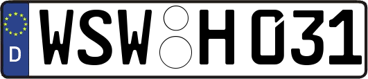 WSW-H031