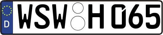 WSW-H065