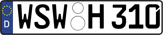 WSW-H310