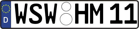 WSW-HM11