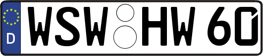 WSW-HW60