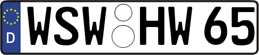 WSW-HW65