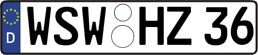 WSW-HZ36
