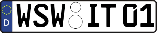 WSW-IT01