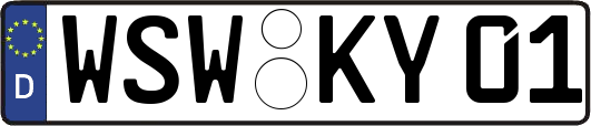 WSW-KY01