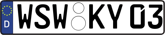 WSW-KY03