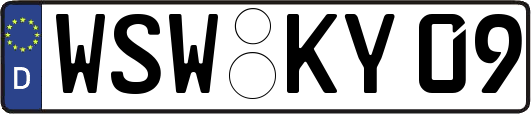 WSW-KY09