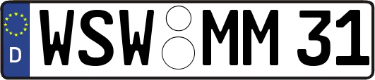 WSW-MM31
