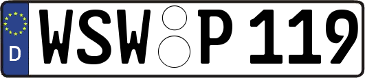 WSW-P119