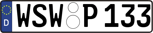 WSW-P133