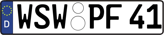WSW-PF41