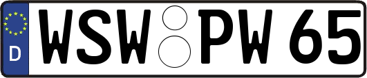 WSW-PW65
