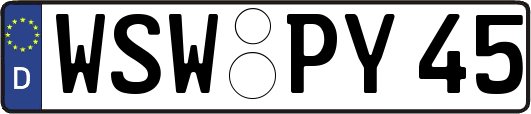 WSW-PY45