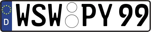 WSW-PY99