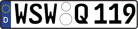 WSW-Q119