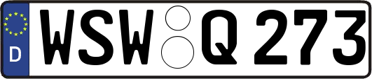 WSW-Q273
