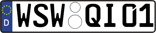 WSW-QI01