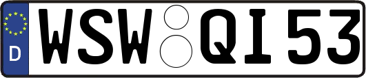 WSW-QI53