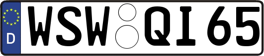 WSW-QI65