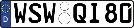 WSW-QI80