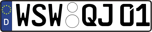 WSW-QJ01