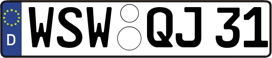 WSW-QJ31