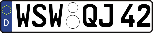 WSW-QJ42