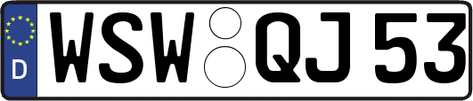 WSW-QJ53