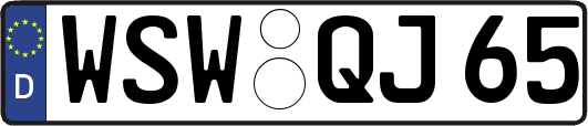WSW-QJ65