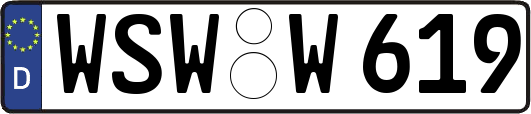 WSW-W619