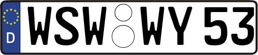 WSW-WY53
