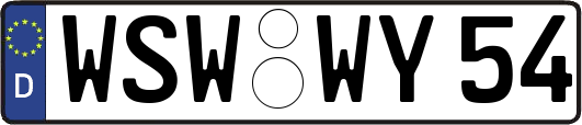 WSW-WY54