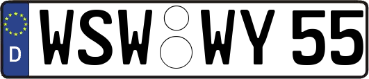 WSW-WY55