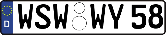 WSW-WY58