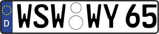 WSW-WY65