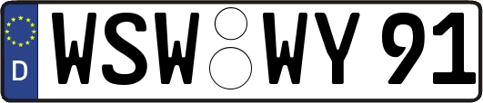 WSW-WY91