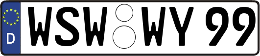 WSW-WY99